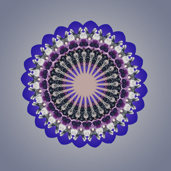Purple Haze Mandalas 1-2-3-4