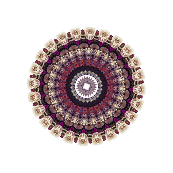 Rare Earth Mandalas 1-2-3