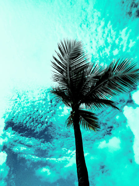 Punta Cana Palms - Aquamarine