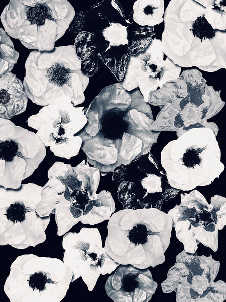 D's Beach Roses Photomontage - 4 Versions