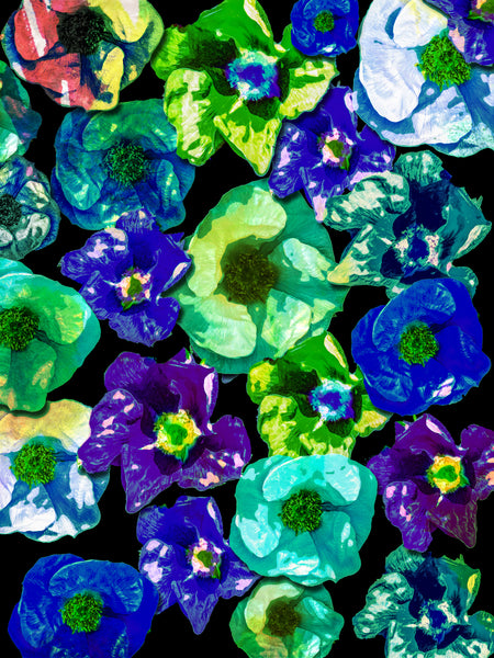 D's Beach Roses Photomontage - 4 Versions