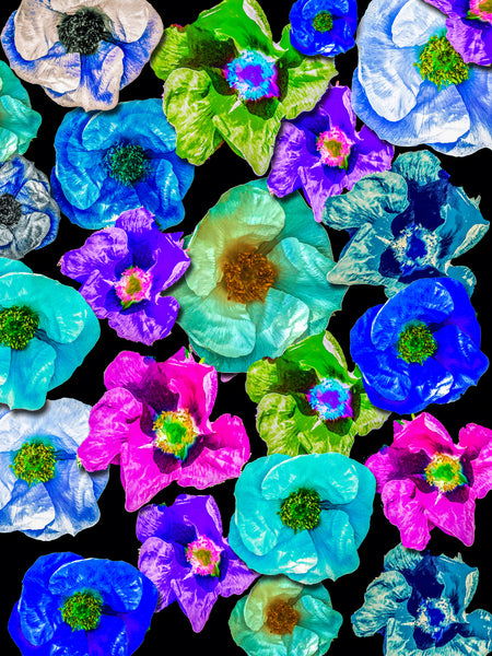 D's Beach Roses Photomontage - 4 Versions