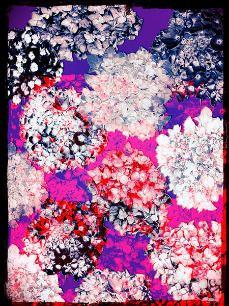 Double Hydrangeas REMIX- 6 Versions