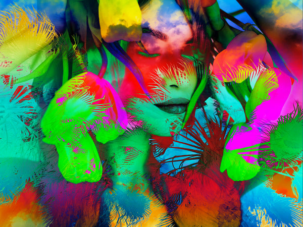 Encinitas Photomontage Versions 1-2-3-4-5