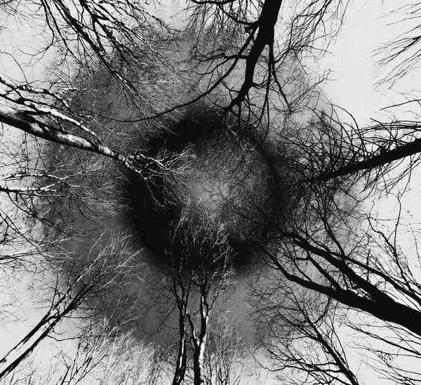 From Where I Lie Study No. 7, 8, 9: Metal Prints