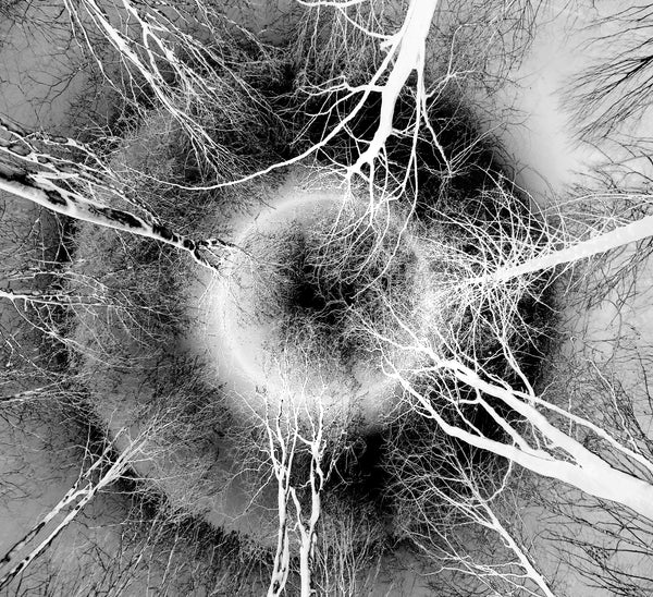 From Where I Lie Study No. 7, 8, 9: Metal Prints