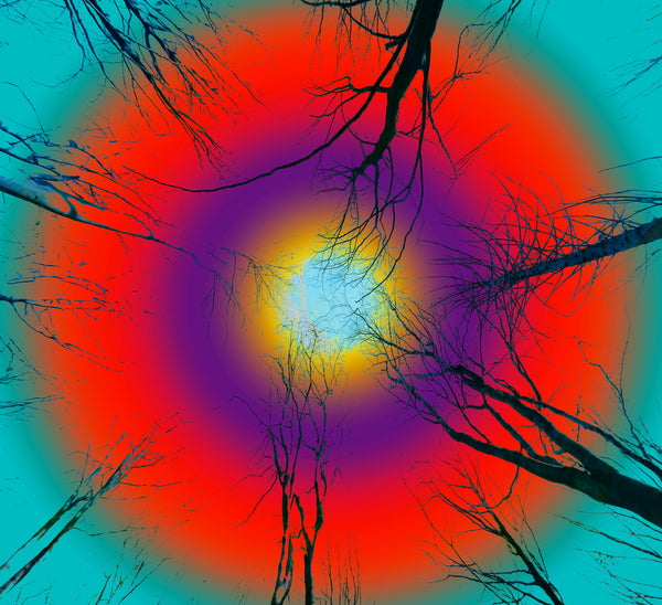 From Where I Lie Study No. 1, 2, 3: Metal Prints