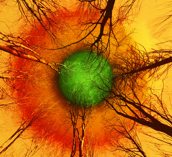 From Where I Lie Study No. 1, 2, 3: Metal Prints