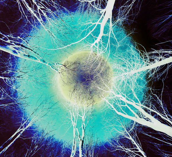 From Where I Lie Study No. 4, 5, 6: Metal Prints