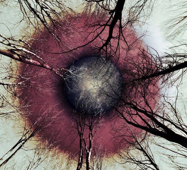 From Where I Lie Study No. 4, 5, 6: Metal Prints