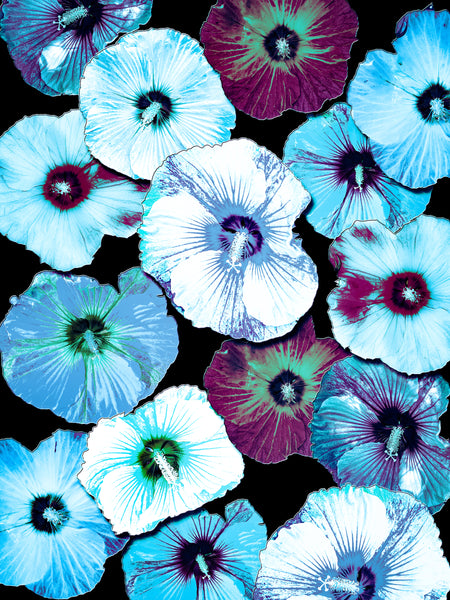 FB's Hibiscus Photomontage - 5 Versions