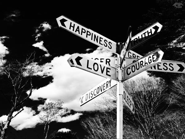 Love + Courage Black and White