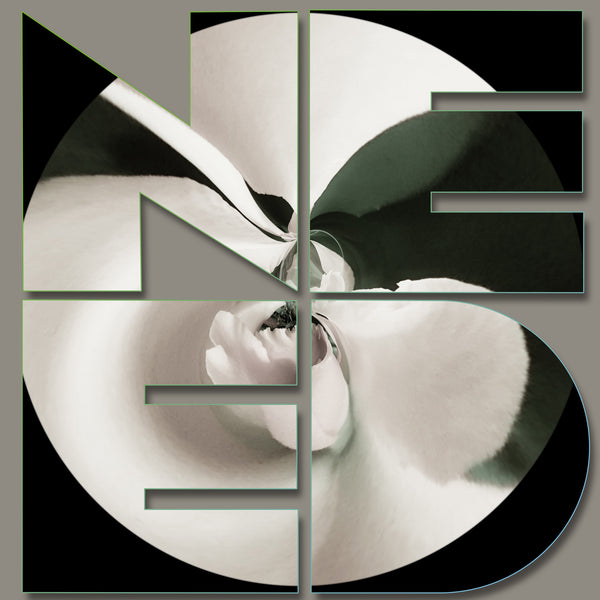 Ode to Robert Indiana: Gardener Series of 8