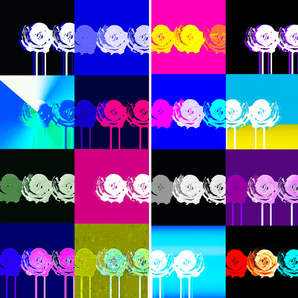 Roses For Sara Diptych