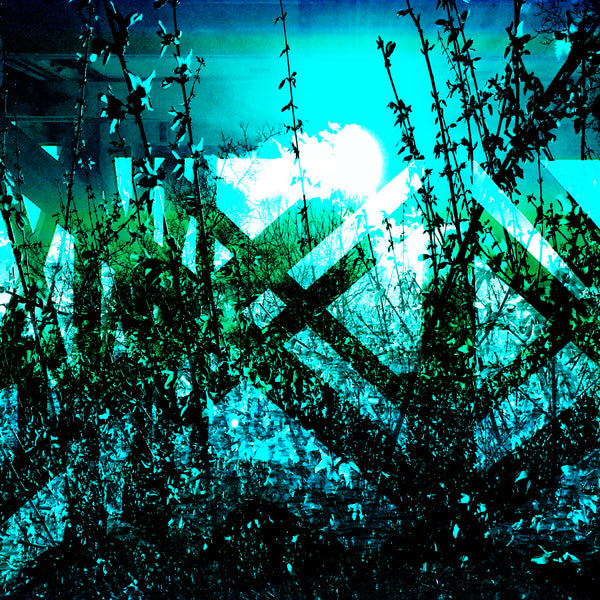 The Tide is High - 4 Versions