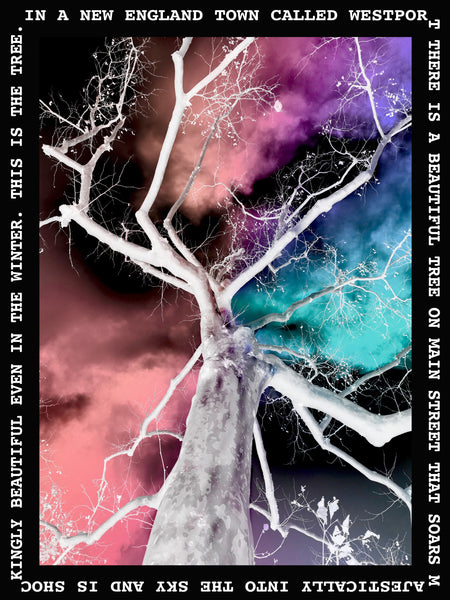 Tree on Main Solo: Plexi