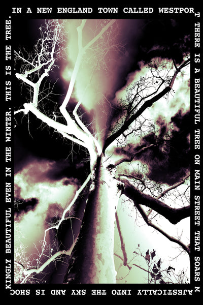 Tree on Main Solo: Plexi