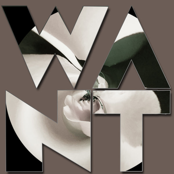 Ode to Robert Indiana: Gardener Series of 8