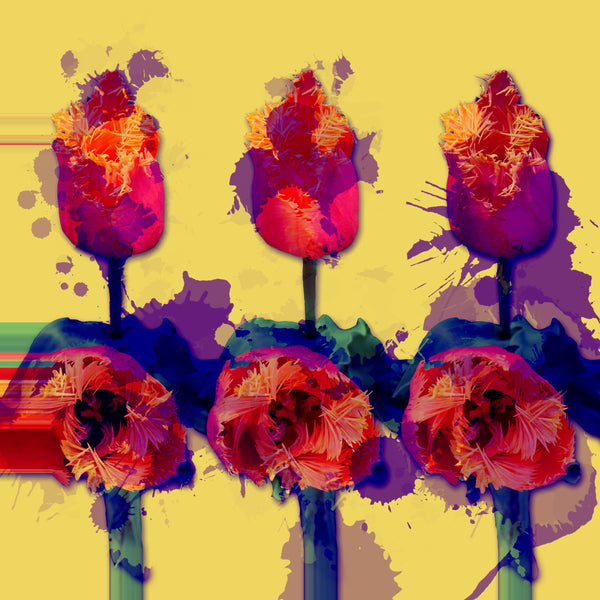 Tulip-topia - 3 Versions