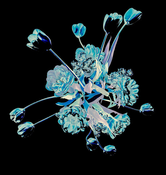 Bouquet 36- 5 Versions