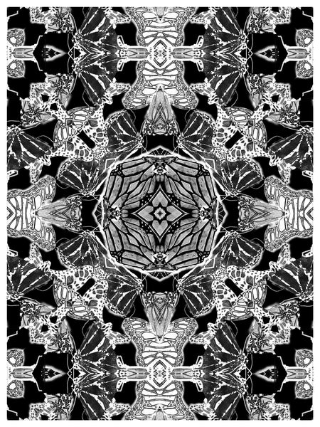 The Monarchy Black and White Versions 1-2-3-4