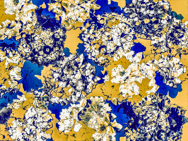 Double Hydrangeas REMIX- 6 Versions