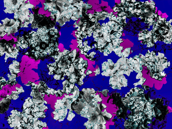 Double Hydrangeas REMIX- 6 Versions