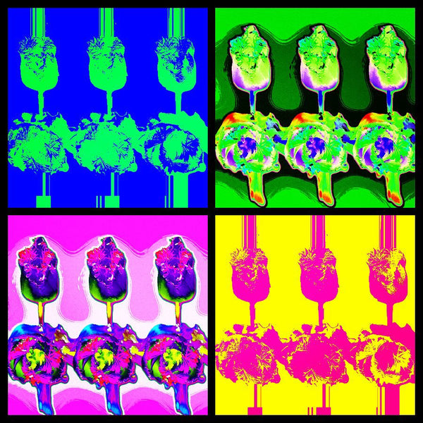 Tulips For a Friend Quad Color