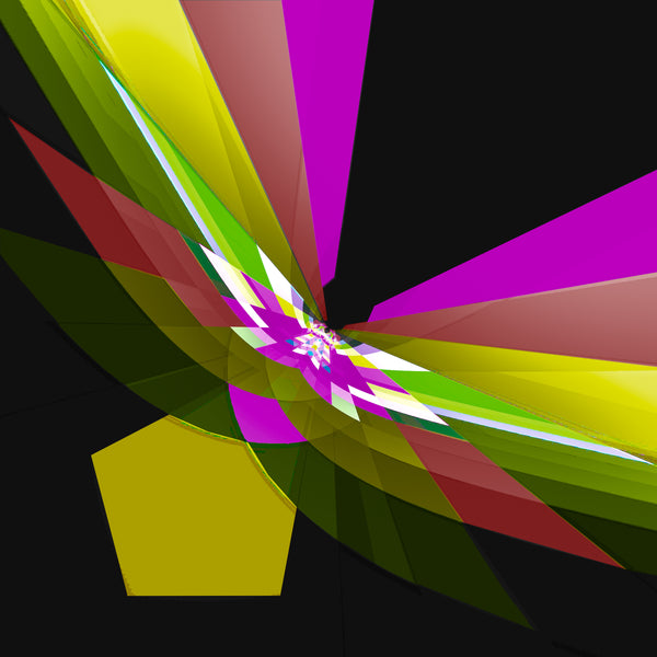 Freebird - 6 Versions