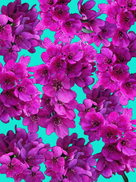 Me and My Crabapple Tree Photomontage - 5 versions