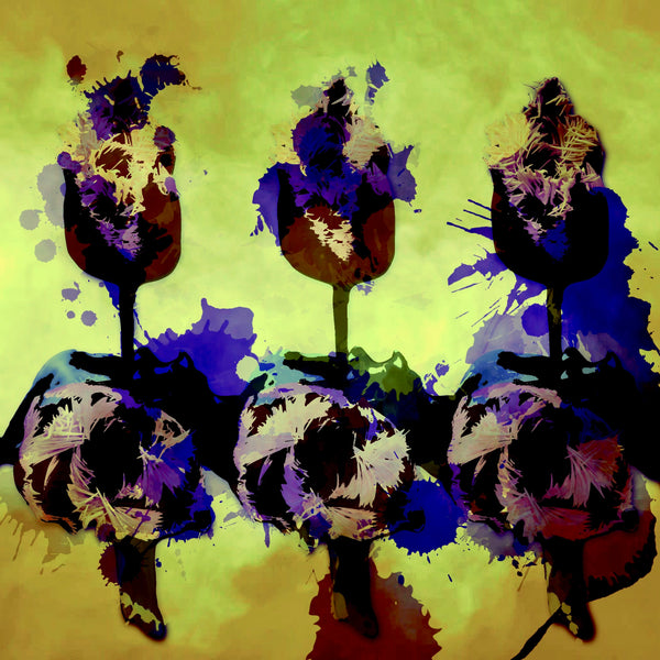 Tulip-topia - 3 Versions