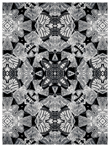 The Monarchy Black and White Versions 1-2-3-4