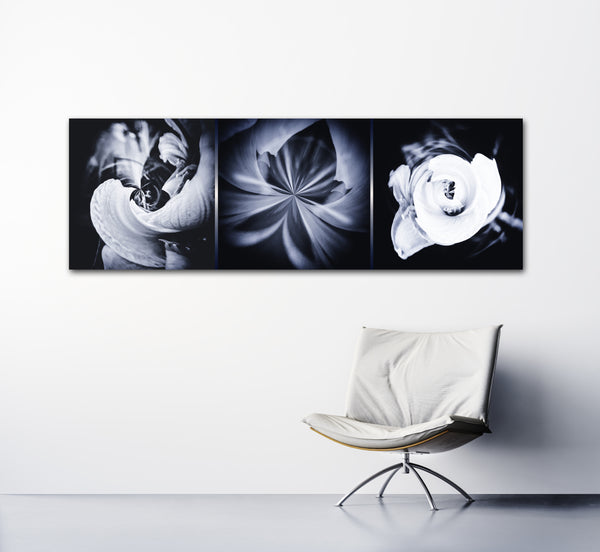 Endless Summer Trio - 2 Versions