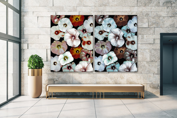 FB's Hibiscus Photomontage - 5 Versions