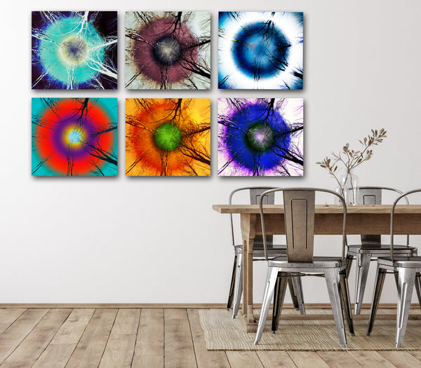 From Where I Lie Study No. 4, 5, 6: Metal Prints