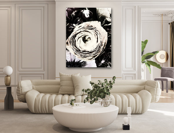 Miraculous Ranunculus - 2 Versions