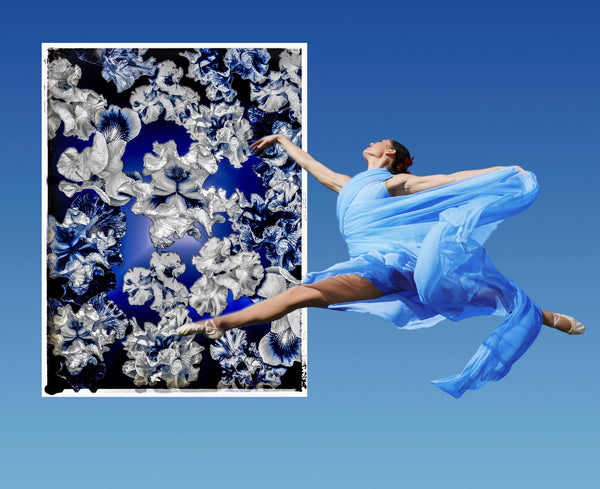 FB's Iris Photomontage Blue Story, Version 6: Framed