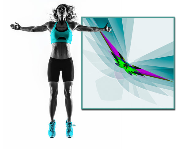 Freebird - 6 Versions