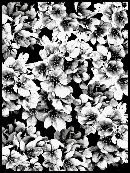 Me and My Crabapple Tree Photomontage - 5 versions
