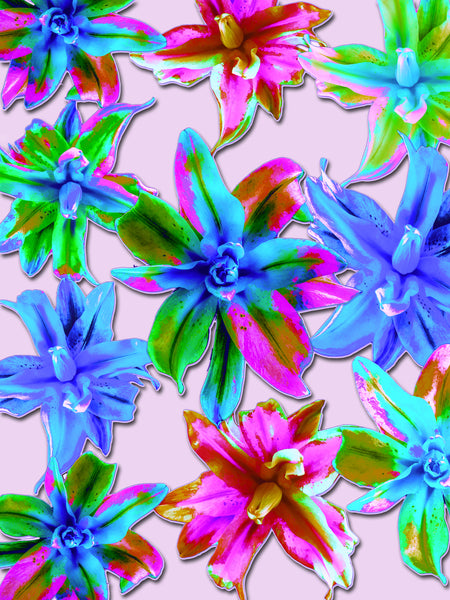 "Double Oriental Lilies Candy Land" - 4  Versions