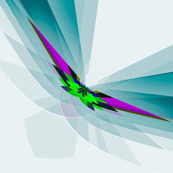 Freebird - 6 Versions