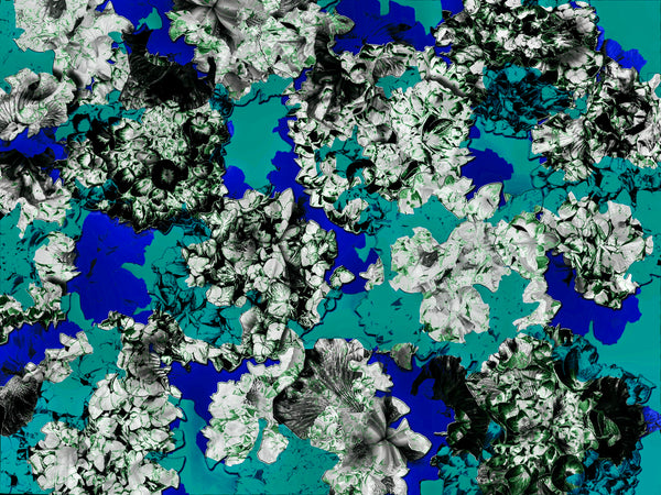 Double Hydrangeas REMIX- 6 Versions