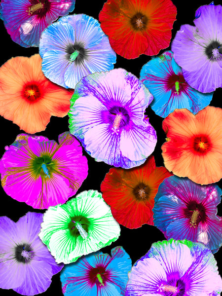 FB's Hibiscus Photomontage - 5 Versions