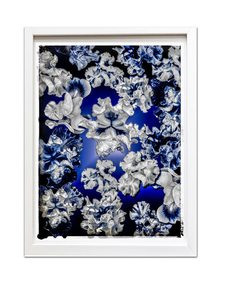 FB's Iris Photomontage Blue Story, Version 6: Framed