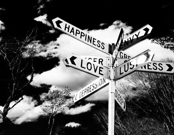 Love and Lust B & W: Plexi