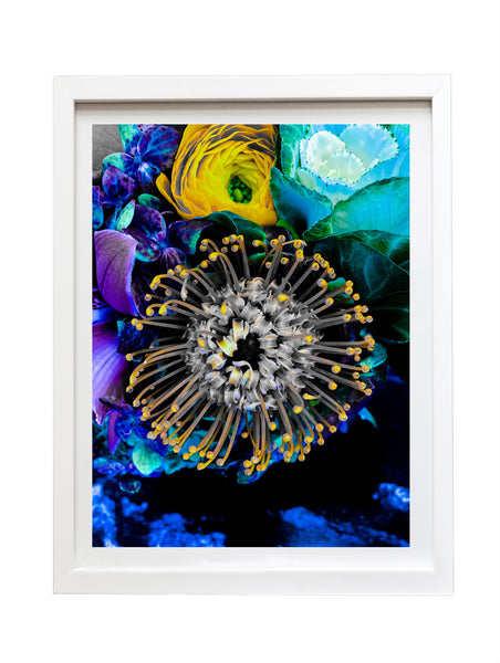 Nature's Pincushion: Framed