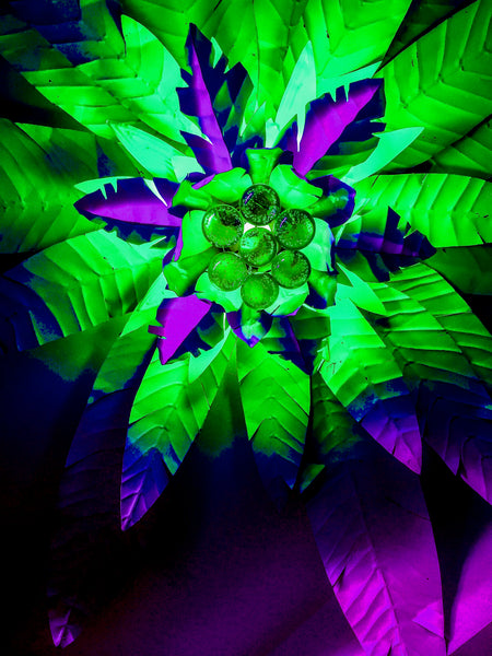 Parker Palms Nos. 1-2-3