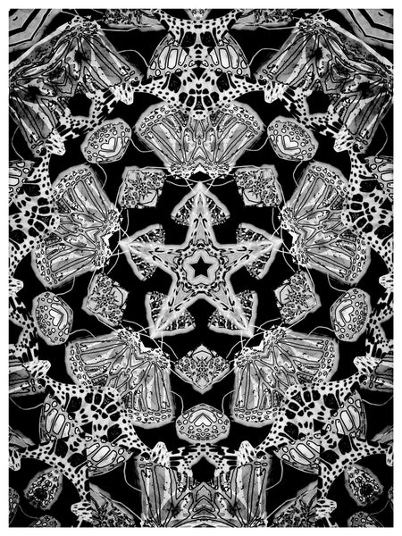 The Monarchy Black and White Versions 1-2-3-4