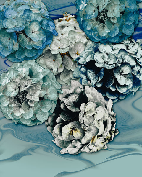 Steel Hydrangeas