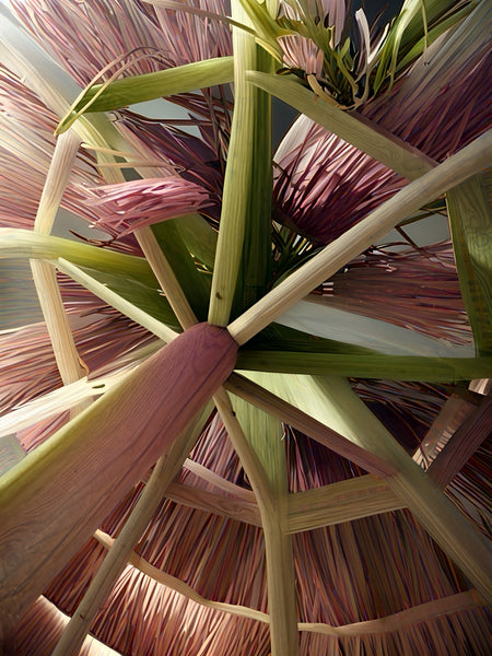 Palapa Light No. 1 + No. 2- Lemongrass